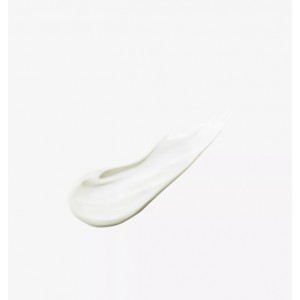 [2024全新版] SUQQU Protecting day cream SPF 50+ 30g